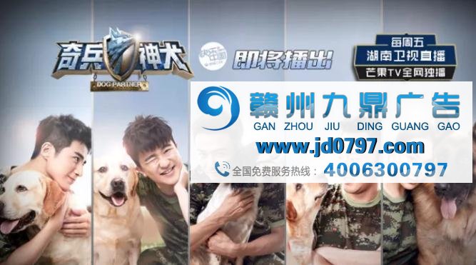 上芒果TV看《奇兵神犬》 青春正能量满格蓄势待发