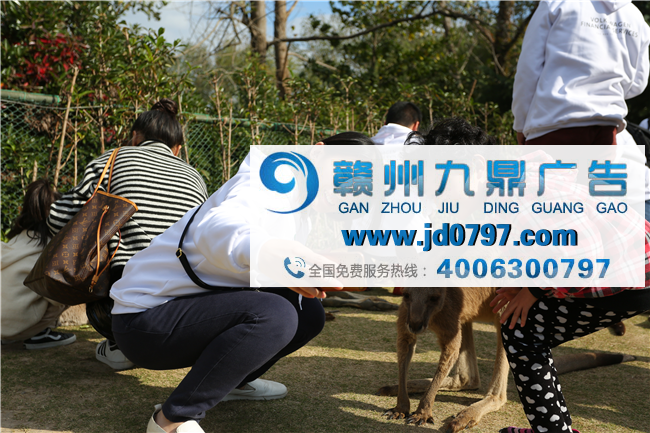 大众汽车金融（中国）有限公司“蓝色星空”公益行动第五站“大自然的呼唤”在沪举行