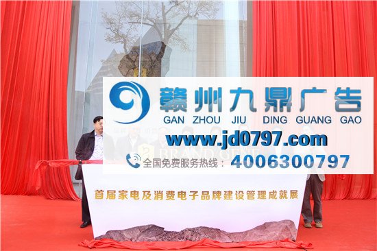 首届家电及消费电子品牌建设管理 高峰论坛暨成就展召开
