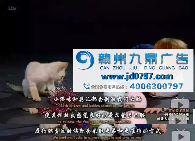 广告不够火？因为你还不懂“吸猫”
