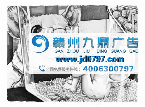 另类公益漫画：如果人和动物角色互换会是怎样的场景？
