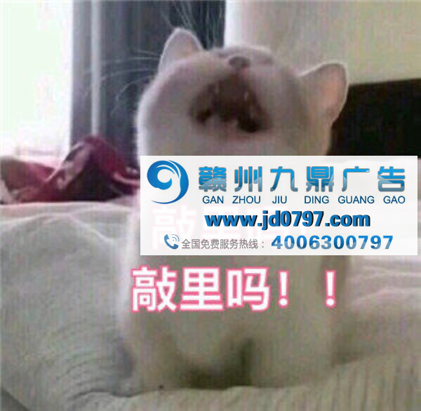 在你刷网页的时候,杜蕾斯已经刷屏了!你比杜蕾斯就差了这三步!