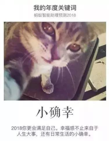 这段时间最火的广告竟然是年度总结