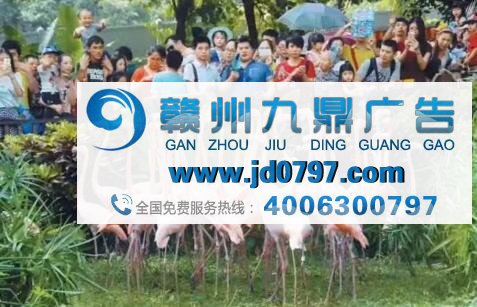 你见过最侮辱智商的广告是哪个？