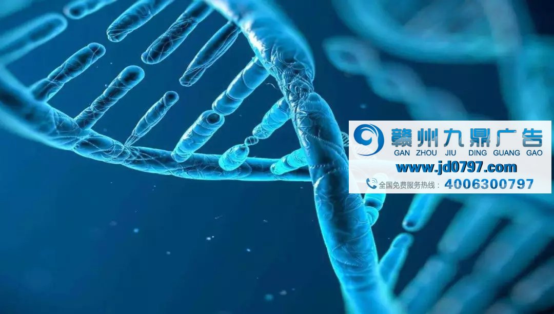 【品牌资讯】国内惊现首个互动营销区块链项目！
