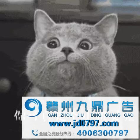 不会说谎的广告人，不是一名合格的广告人