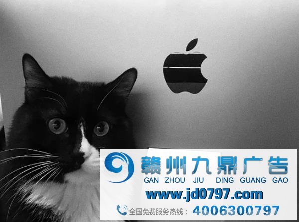 能看懂 LxU 这支动画的人，你还相信广告吗？