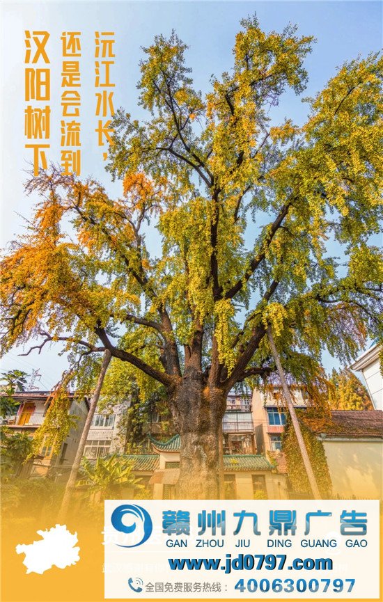 32张海报、352字短片:武汉向中国鞠躬!