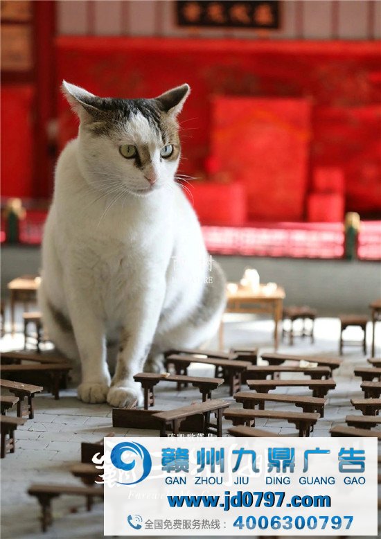 这些无聊催生的海报，一不小心成了爆款