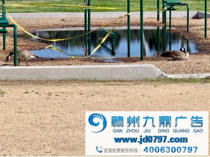 当全球人都宅在家,IP就是这个时代的头号玩家!