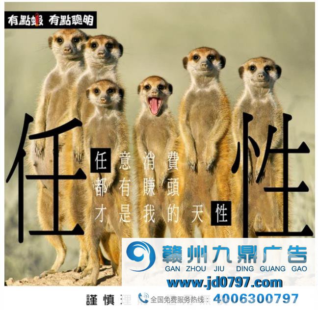 台湾奥美操刀的宝藏电商，广告简直皮出天际！