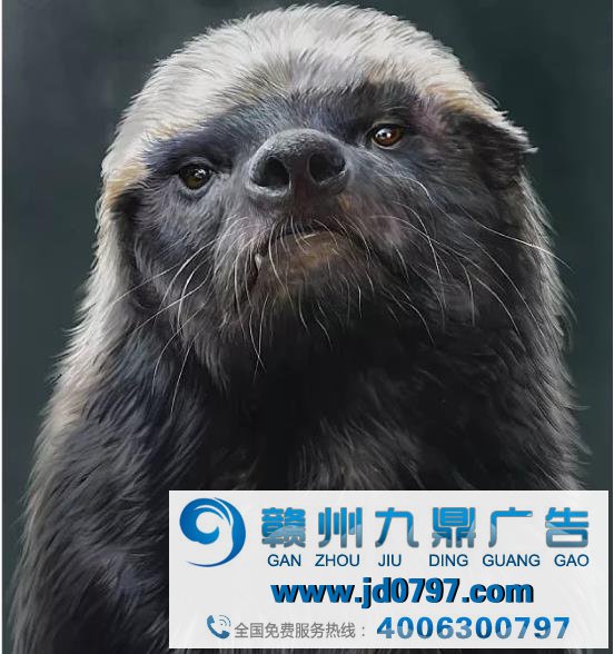 GUCCI 为何爱在广告中拍小动物？