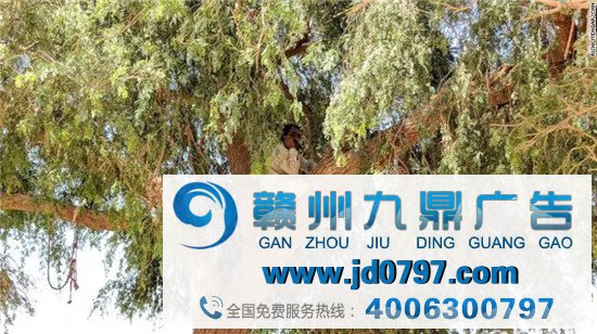 印度禁掉59款中国应用背后:一个奇葩的印度互联网市场