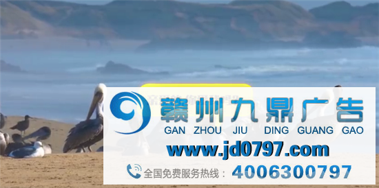 高德怕是可爱上瘾了