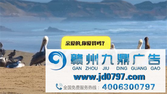 高德怕是可爱上瘾了