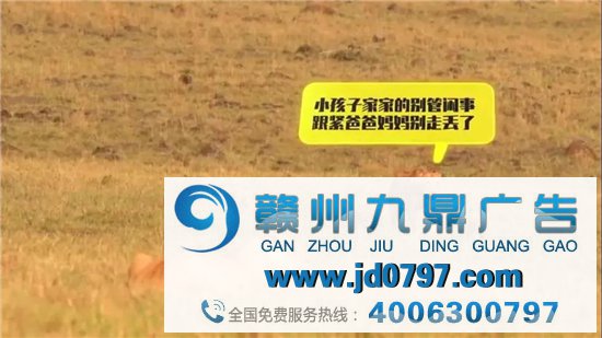 高德怕是可爱上瘾了