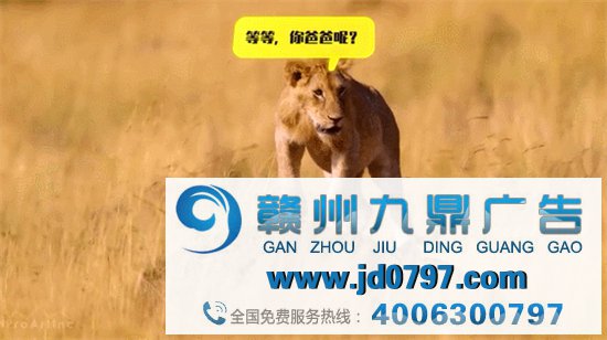 高德怕是可爱上瘾了