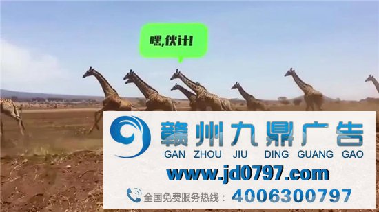 高德怕是可爱上瘾了