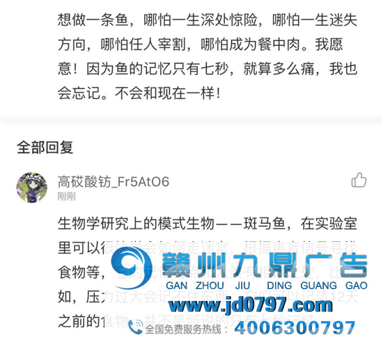 网易云反矫情神回答，文案超会怼