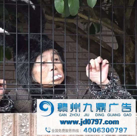 奢侈品广告频现爷爷奶奶，营销的“老年时代”要莅临？
