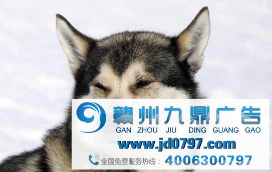 广告，如何恰当洗脑且高效？