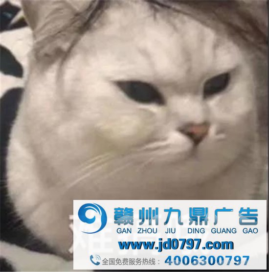 先别管TikTok了，抖音「直播带货」也要凉了？
