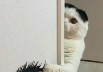 自古广告人多怪癖