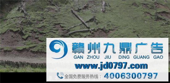 蚂蚁集体最新公益短片,看哭了