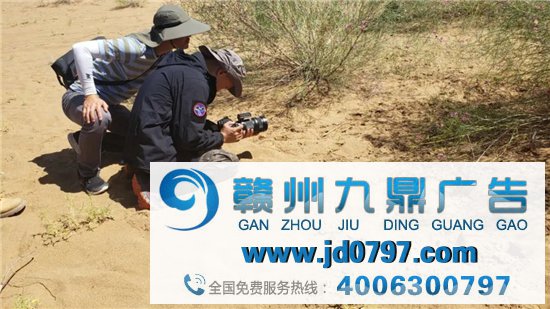 蚂蚁集体最新公益短片,看哭了