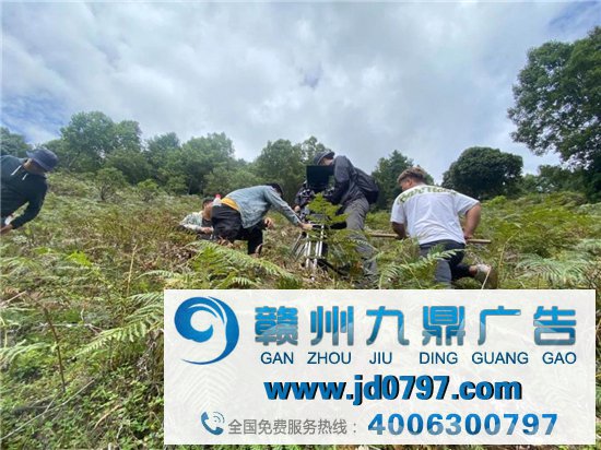 蚂蚁集体最新公益短片,看哭了