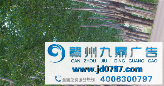 五芳斋影业开始走下坡路了