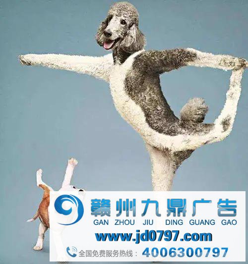 疫情此后的广告圈,你的人出发生了什么厘革?