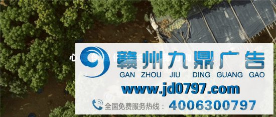五年只说一件事,这品牌够长情!