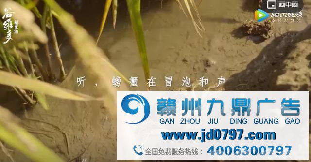 啊哈，这些律例让你的广告先声夺人