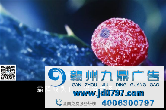 霜降,借势文案,来了