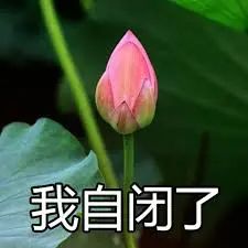 北京环球影城，求你换家广告公司吧！