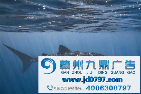 年轻世代的天文梦:从微博追星星开始