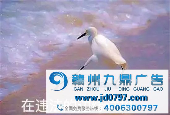 腾讯，被罚了20万！