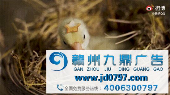 「鹅厂」实锤!腾讯真的用鹅拍了支广告!