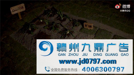 「鹅厂」实锤!腾讯真的用鹅拍了支广告!