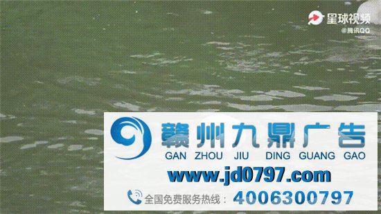 「鹅厂」实锤!腾讯真的用鹅拍了支广告!
