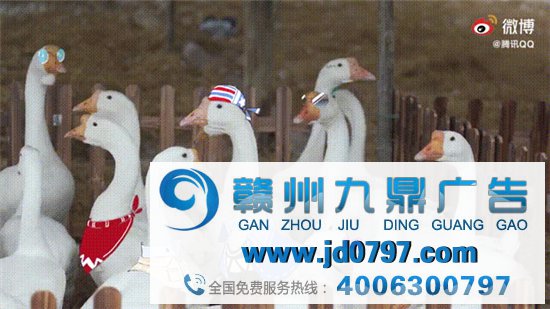 「鹅厂」实锤！腾讯真的用鹅拍了支广告!