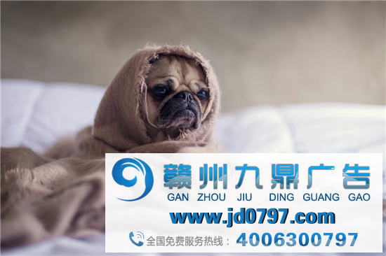 这8句文案,很暖