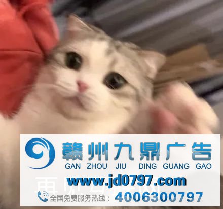 拼多多的迷惑哄骗？看傻了