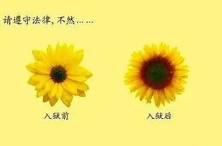 硬核文案，不服来战