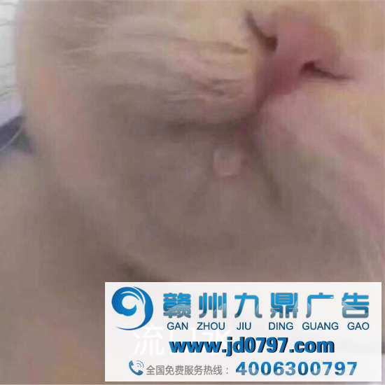 “国美”改名“真快乐”，网友：卖成人用品？