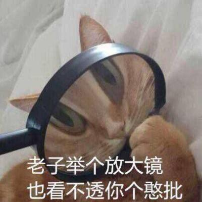 杨笠代言英特尔,史诗级营销灾难