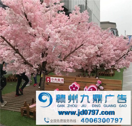 明显那么难吃，为什么樱花营销却那么自信？