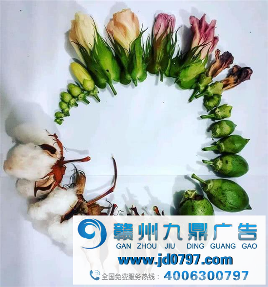 如果我是李宁公关……