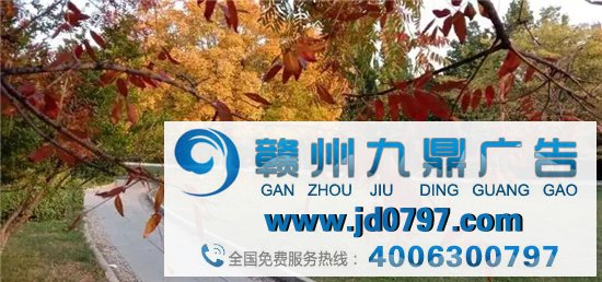 这家公司倒闭了，竟有450万人抢着捐款，硬生生给救活了！